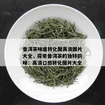 普洱茶味道转化图高清图片大全，探索普洱茶的独特韵味：高清口感转化图片大全