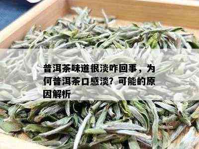 普洱茶味道很淡咋回事，为何普洱茶口感淡？可能的原因解析