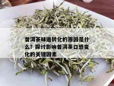 普洱茶味道转化的原因是什么？探讨影响普洱茶口感变化的关键因素