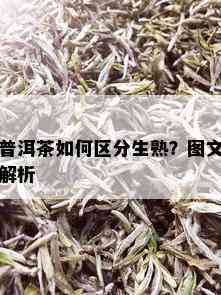 普洱茶如何区分生熟？图文解析