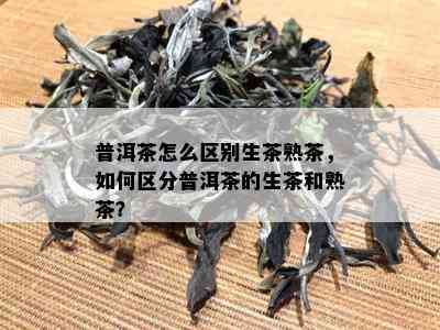 普洱茶怎么区别生茶熟茶，如何区分普洱茶的生茶和熟茶？