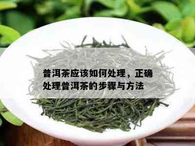 普洱茶应该如何处理，正确处理普洱茶的步骤与方法