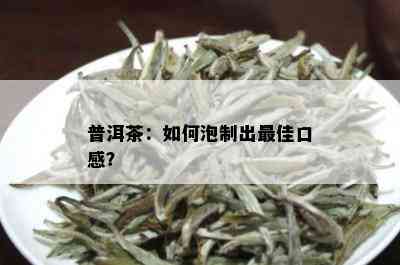 普洱茶：如何泡制出更佳口感？