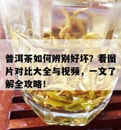 普洱茶如何辨别好坏？看图片对比大全与视频，一文了解全攻略！