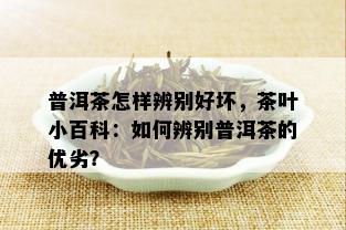 普洱茶怎样辨别好坏，茶叶小百科：如何辨别普洱茶的优劣？