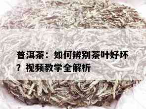 普洱茶：如何辨别茶叶好坏？视频教学全解析