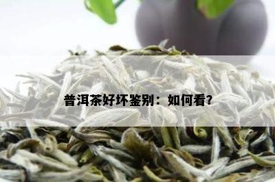 普洱茶好坏鉴别：如何看？