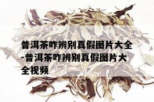 普洱茶咋辨别真假图片大全-普洱茶咋辨别真假图片大全视频