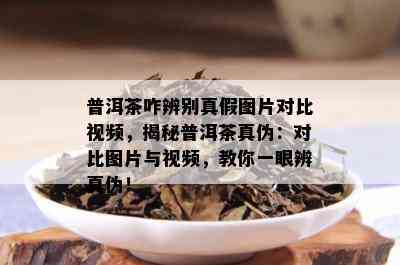 普洱茶咋辨别真假图片对比视频，揭秘普洱茶真伪：对比图片与视频，教你一眼辨真伪！