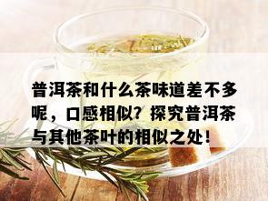 普洱茶和什么茶味道差不多呢，口感相似？探究普洱茶与其他茶叶的相似之处！