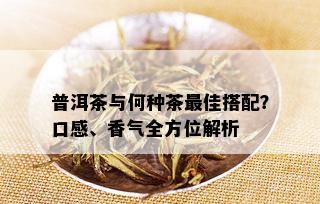 普洱茶与何种茶更佳搭配？口感、香气全方位解析