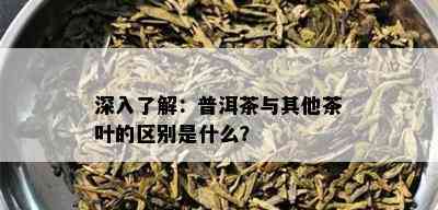 深入了解：普洱茶与其他茶叶的区别是什么？