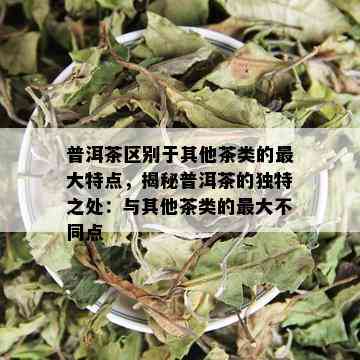 普洱茶区别于其他茶类的更大特点，揭秘普洱茶的独特之处：与其他茶类的更大不同点