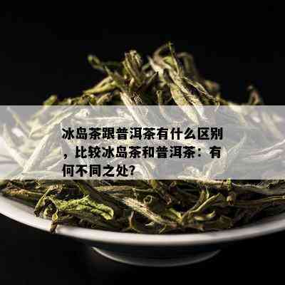 冰岛茶跟普洱茶有什么区别，比较冰岛茶和普洱茶：有何不同之处？