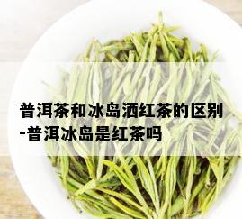 普洱茶和冰岛洒红茶的区别-普洱冰岛是红茶吗