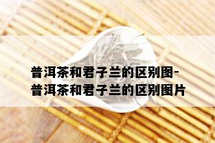 普洱茶和君子兰的区别图-普洱茶和君子兰的区别图片