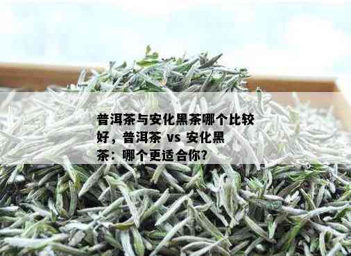 普洱茶与安化黑茶哪个比较好，普洱茶 vs 安化黑茶：哪个更适合你？