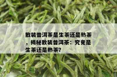 散装普洱茶是生茶还是熟茶，揭秘散装普洱茶：究竟是生茶还是熟茶？