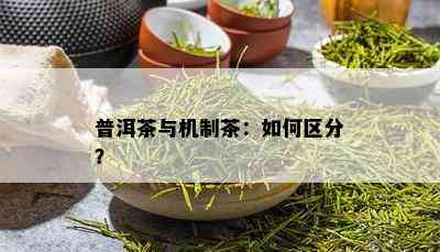 普洱茶与机制茶：如何区分？