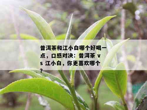 普洱茶和江小白哪个好喝一点，口感对决：普洱茶 vs 江小白，你更喜欢哪个？