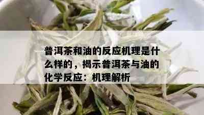 普洱茶和油的反应机理是什么样的，揭示普洱茶与油的化学反应：机理解析