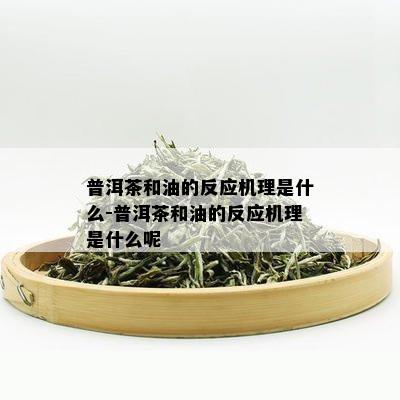 普洱茶和油的反应机理是什么-普洱茶和油的反应机理是什么呢