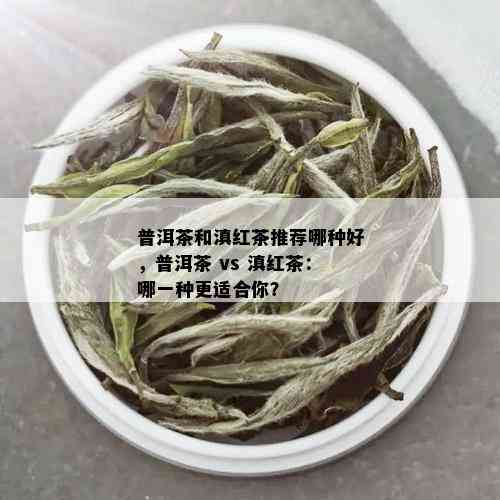 普洱茶和滇红茶推荐哪种好，普洱茶 vs 滇红茶：哪一种更适合你？