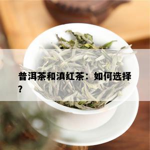 普洱茶和滇红茶：如何选择？