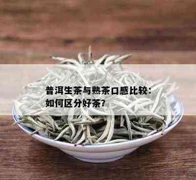 普洱生茶与熟茶口感比较：如何区分好茶？