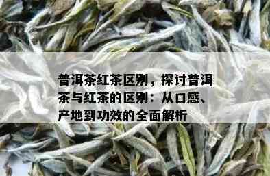 普洱茶红茶区别，探讨普洱茶与红茶的区别：从口感、产地到功效的全面解析