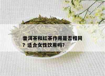 普洱茶和红茶作用是否相同？适合女性饮用吗？