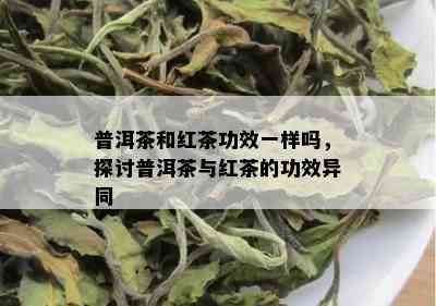 普洱茶和红茶功效一样吗，探讨普洱茶与红茶的功效异同