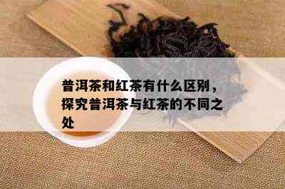 普洱茶和红茶有什么区别，探究普洱茶与红茶的不同之处