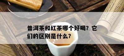 普洱茶和红茶哪个好喝？它们的区别是什么？