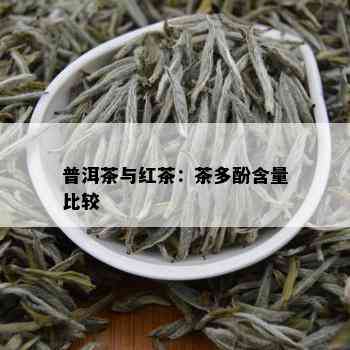 普洱茶与红茶：茶多酚含量比较