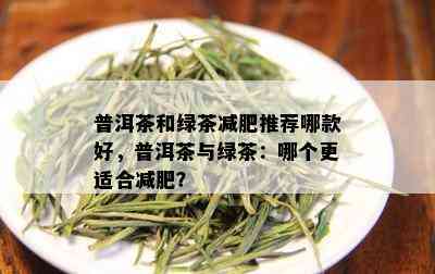 普洱茶和绿茶减肥推荐哪款好，普洱茶与绿茶：哪个更适合减肥？