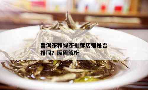 普洱茶和绿茶推荐店铺是否相同？原因解析