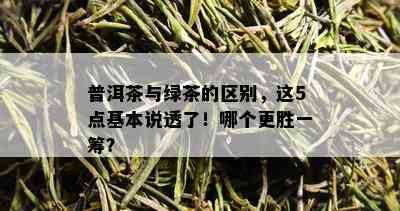 普洱茶与绿茶的区别，这5点基本说透了！哪个更胜一筹？