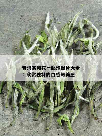 普洱茶和花一起泡图片大全：欣赏独特的口感与美感