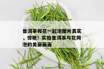 普洱茶和花一起泡图片真实，惊艳！实拍普洱茶与花同泡的美丽画面