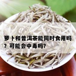 萝卜和普洱茶能同时食用吗？可能会中吗？