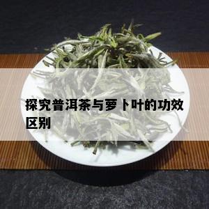 探究普洱茶与萝卜叶的功效区别