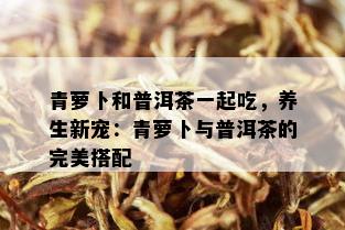 青萝卜和普洱茶一起吃，养生新宠：青萝卜与普洱茶的完美搭配