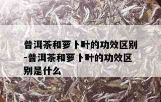 普洱茶和萝卜叶的功效区别-普洱茶和萝卜叶的功效区别是什么