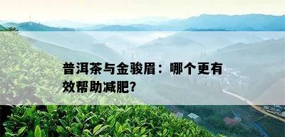 普洱茶与金骏眉：哪个更有效帮助减肥？