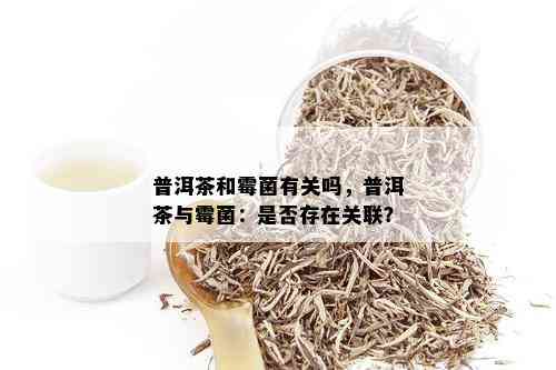 普洱茶和霉菌有关吗，普洱茶与霉菌：是否存在关联？