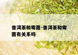 普洱茶和霉菌-普洱茶和霉菌有关系吗