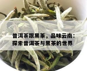 普洱茶跟黑茶，品味云南：探索普洱茶与黑茶的世界