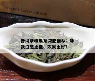 普洱茶和黑茶减肥推荐：哪款口感更佳、效果更好？