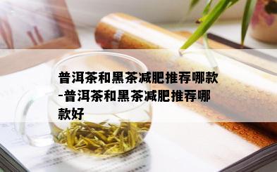 普洱茶和黑茶减肥推荐哪款-普洱茶和黑茶减肥推荐哪款好